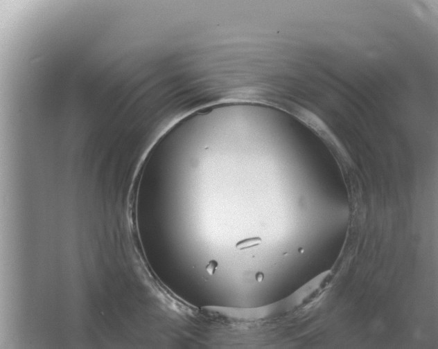 X0000067490908200604150038