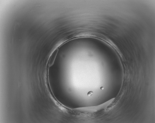 X0000067490909200604150038