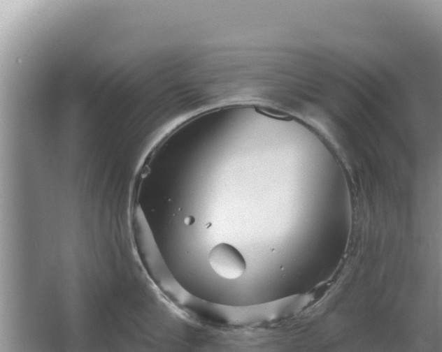 X0000067490910200604150038