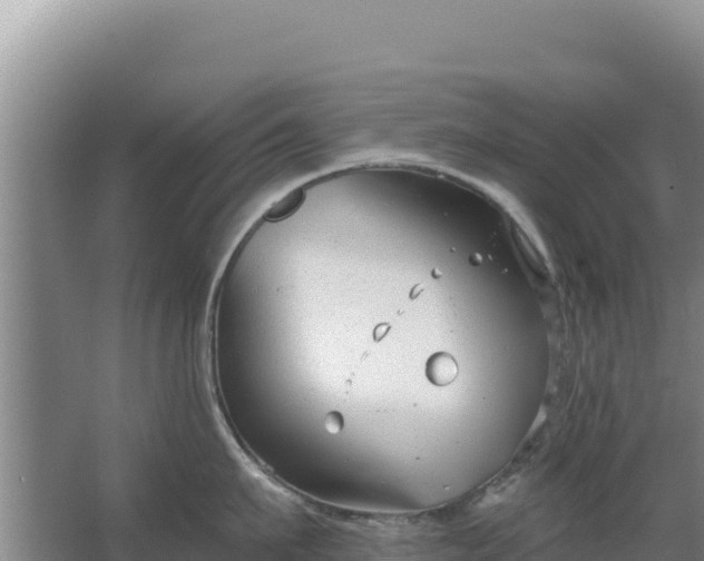 X0000067490911200604150038