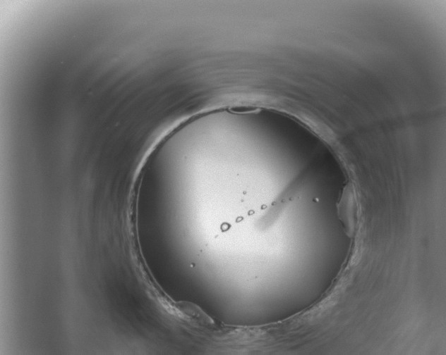 X0000067490912200604150038