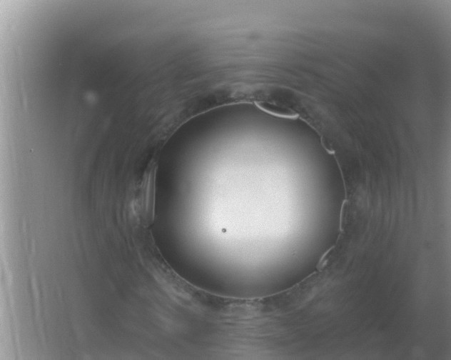 X0000067490914200604150038