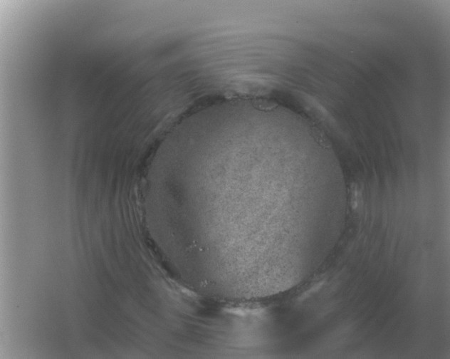 X0000067490915200604150038