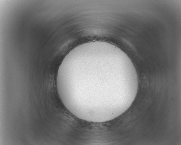 X0000067490918200604150038