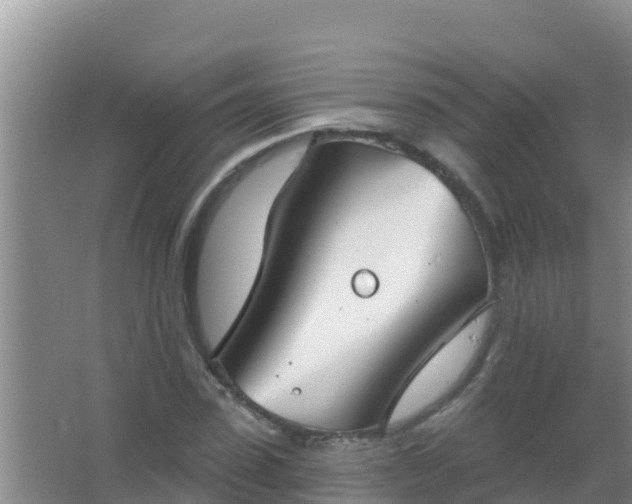 X0000067490923200604150038