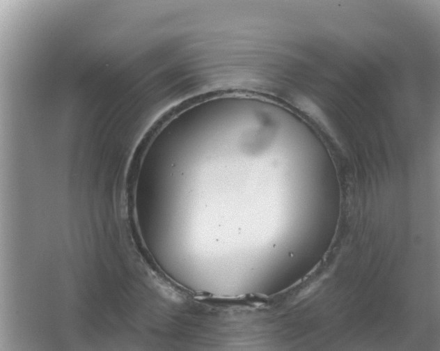 X0000067490924200604150038