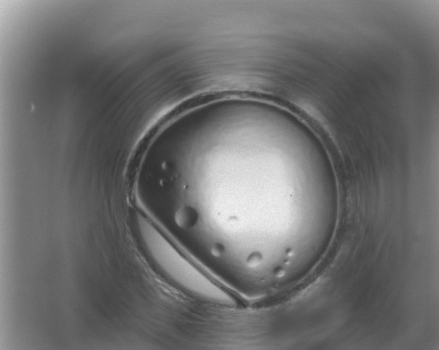 X0000067490925200604150038