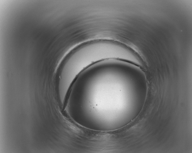 X0000067490926200604150038