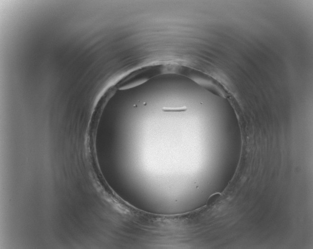 X0000067490928200604150038