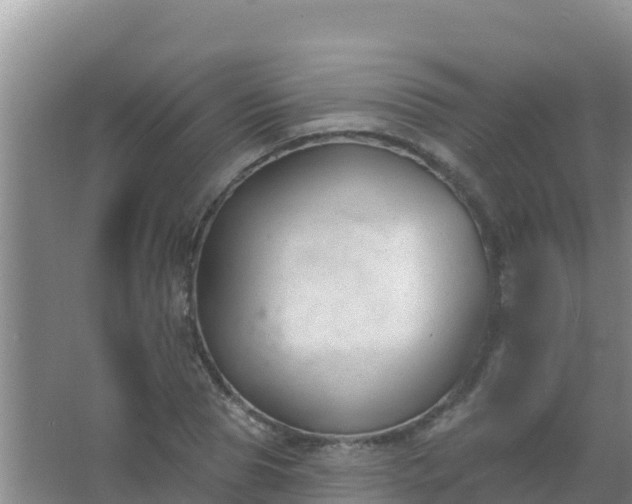 X0000067490929200604150038