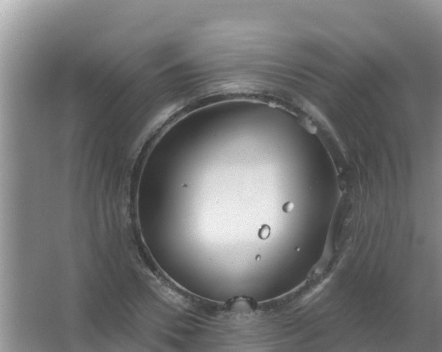 X0000067490930200604150038