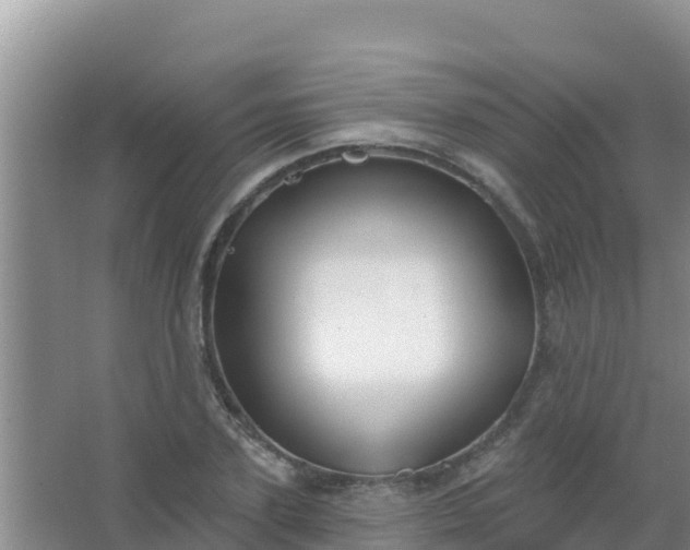 X0000067490931200604150038