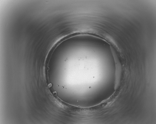 X0000067490932200604150038