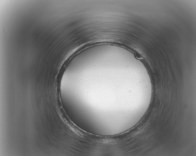 X0000067490933200604150038