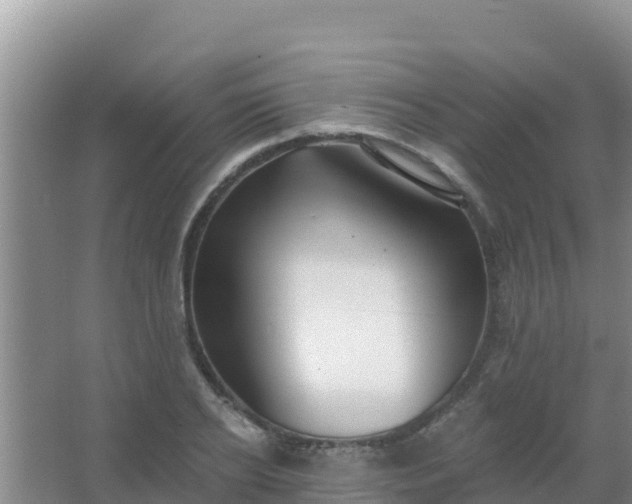 X0000067490934200604150038