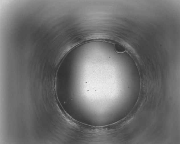 X0000067490937200604150038