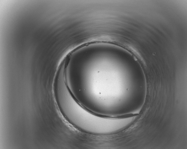 X0000067490944200604150038