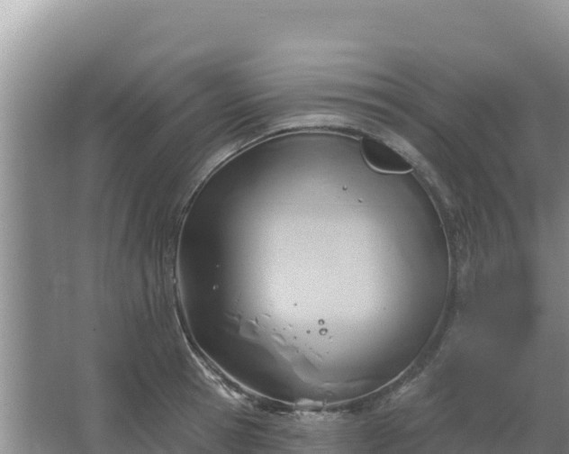 X0000067490945200604150038