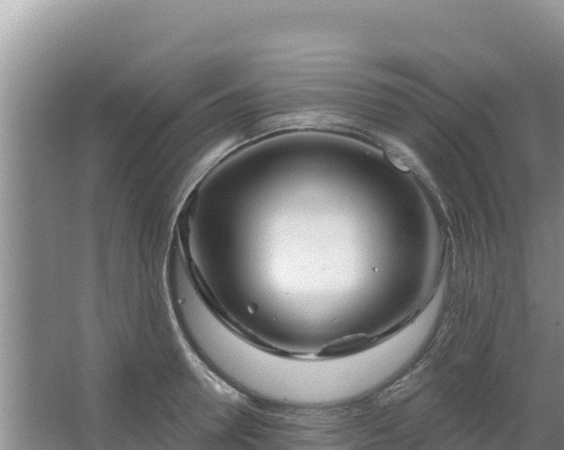 X0000067490946200604150038