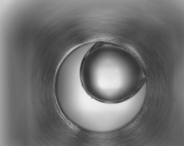 X0000067490948200604150038