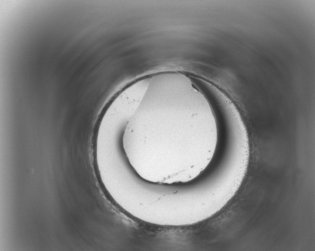 X0000067490950200604150038