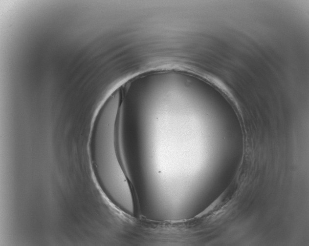 X0000067490951200604150038