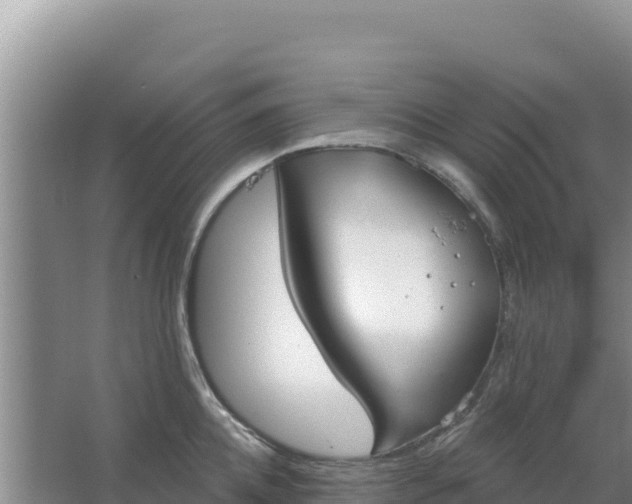 X0000067490952200604150038