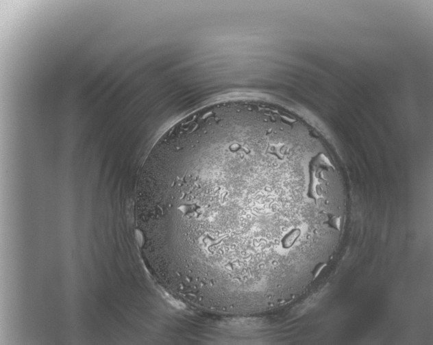 X0000067490953200604150038