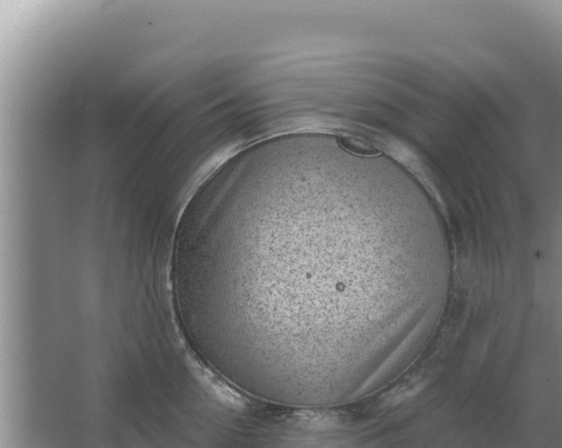 X0000067490954200604150038