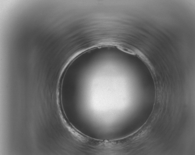 X0000067490955200604150038