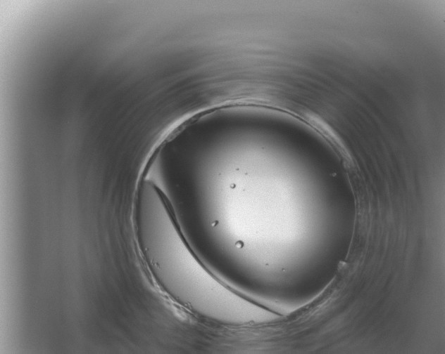 X0000067490956200604150038