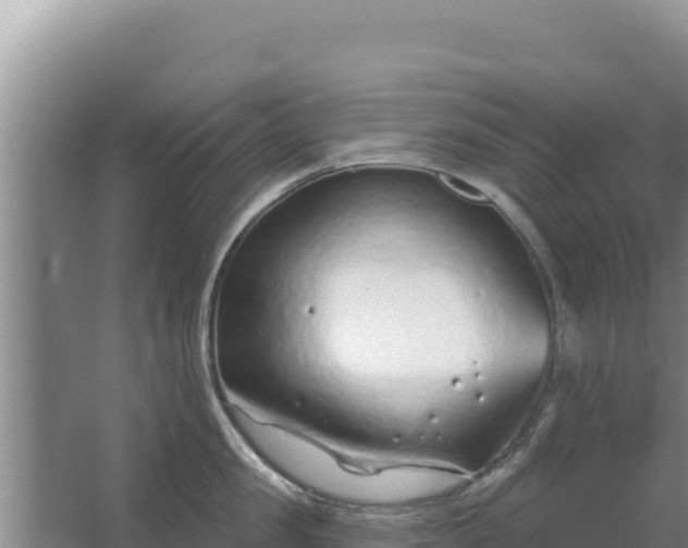 X0000067490957200604150038