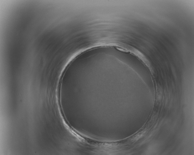 X0000067490958200604150038