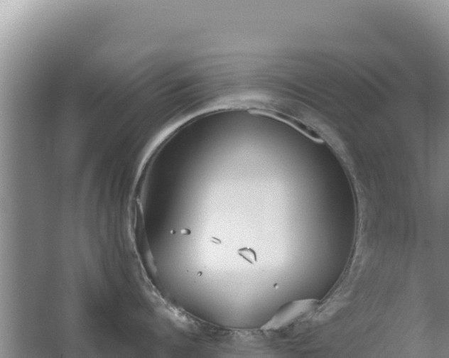 X0000067490960200604150038