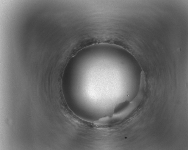 X0000067490961200604150038