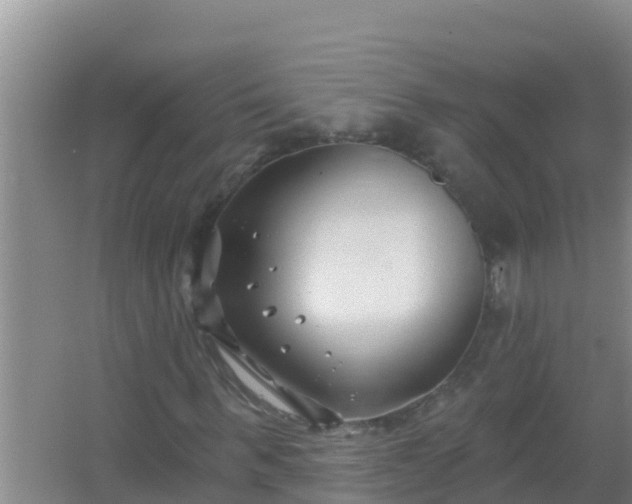 X0000067490963200604150038