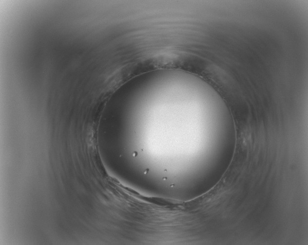 X0000067490964200604150038