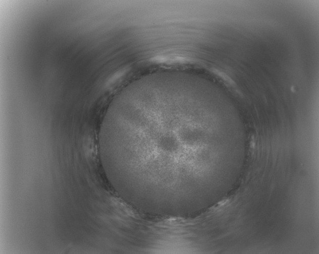 X0000067490966200604150038