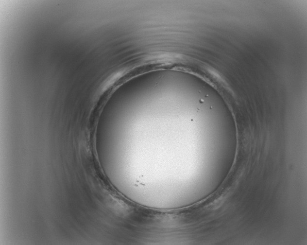 X0000067490970200604150037