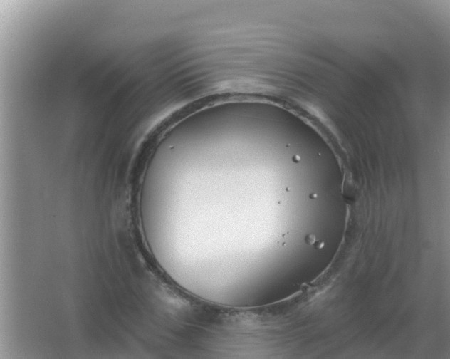 X0000067490971200604150037