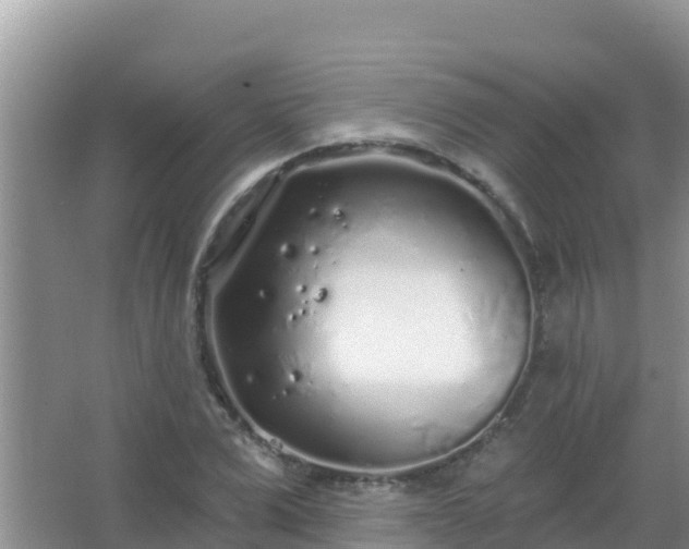 X0000067490975200604150037