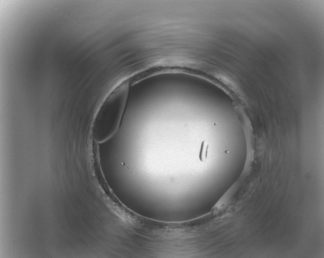 X0000067490976200604150037