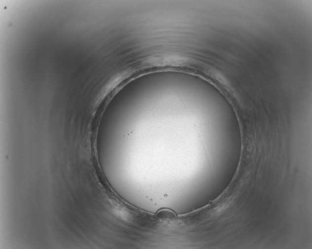 X0000067490978200604150037