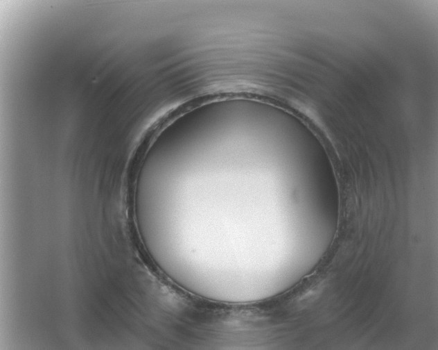 X0000067490979200604150037