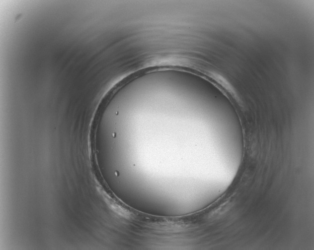 X0000067490980200604150037