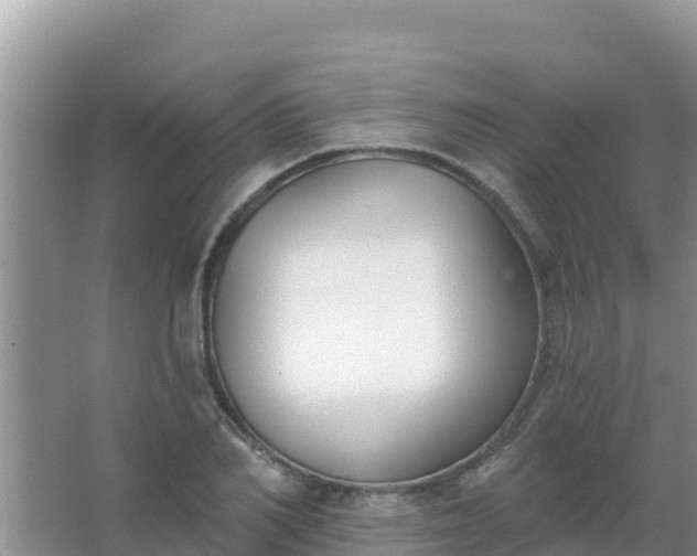 X0000067490982200604150037