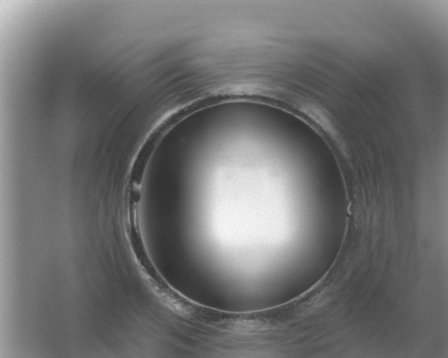 X0000067490984200604150037