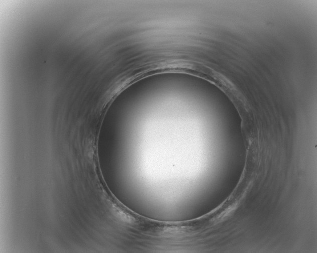 X0000067490985200604150037