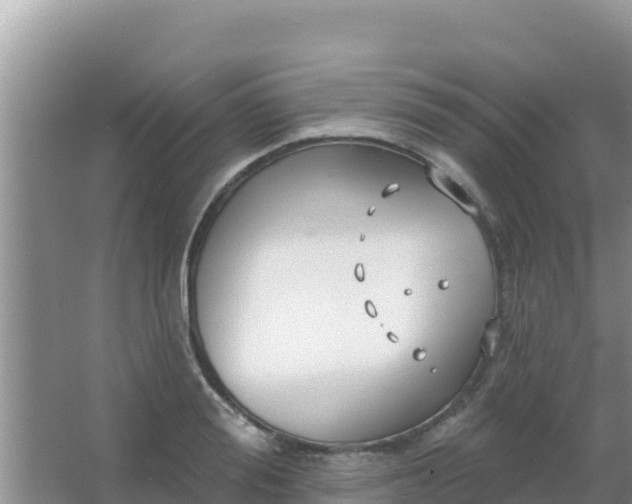 X0000067490988200604150037