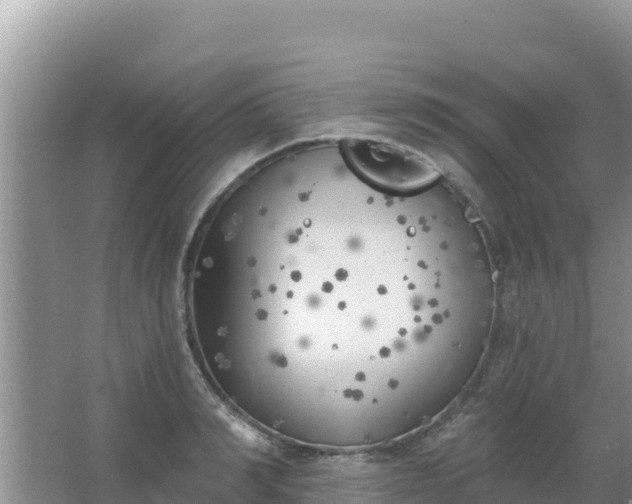 X0000067490990200604150037